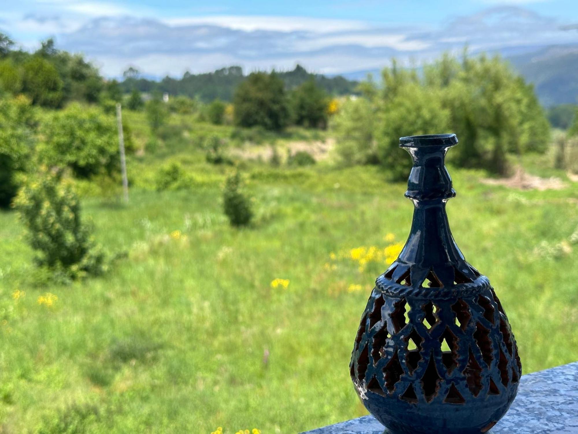 오렌세 Casa La Oveja Negra, Con Piscina 빌라 외부 사진
