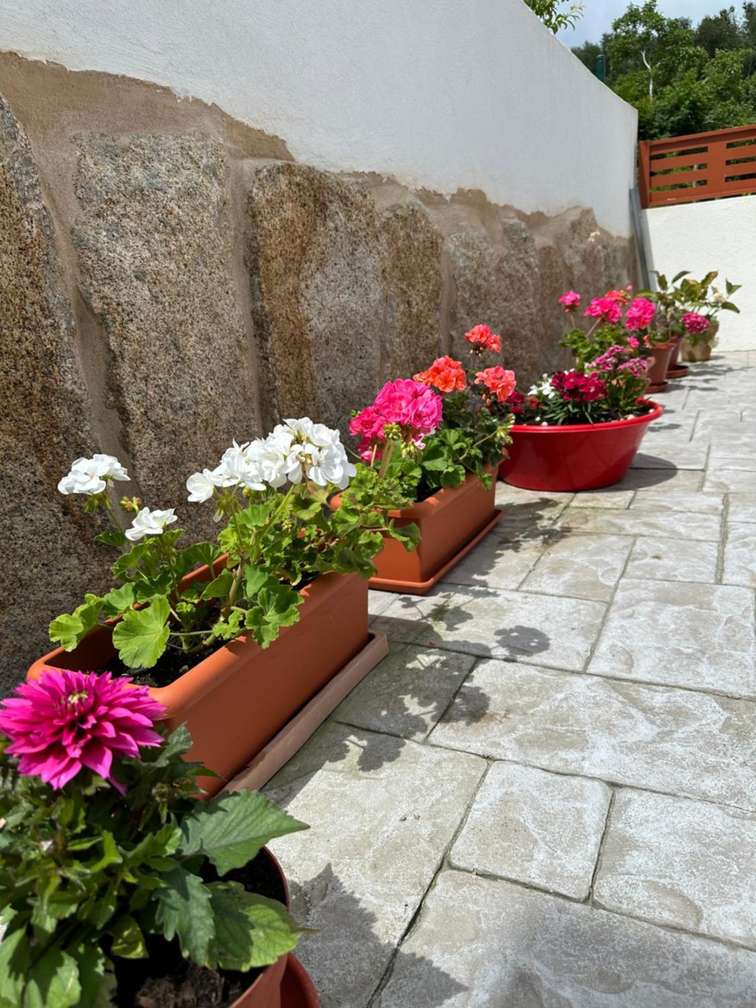 오렌세 Casa La Oveja Negra, Con Piscina 빌라 외부 사진