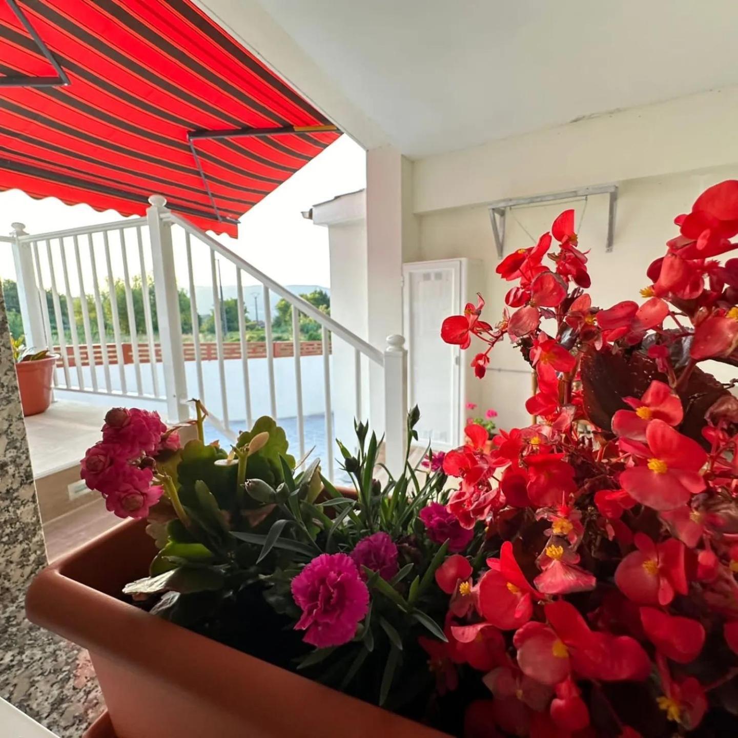 오렌세 Casa La Oveja Negra, Con Piscina 빌라 외부 사진